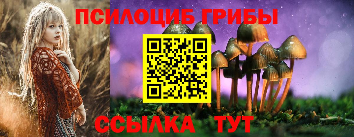 Псилоцибиновые грибы Psilocybine cubensis Сафоново
